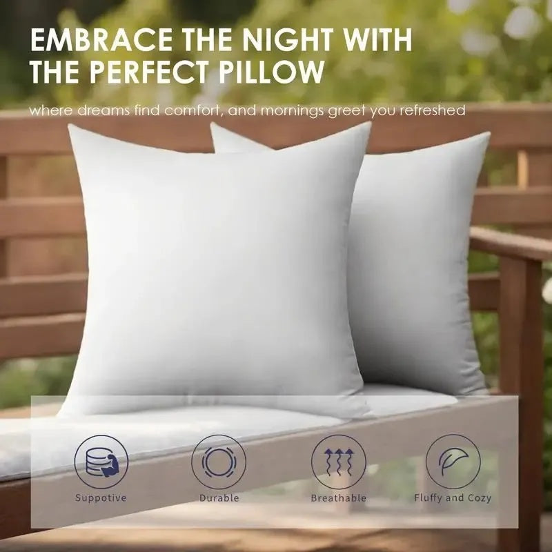 Throw Pillows , 2pack